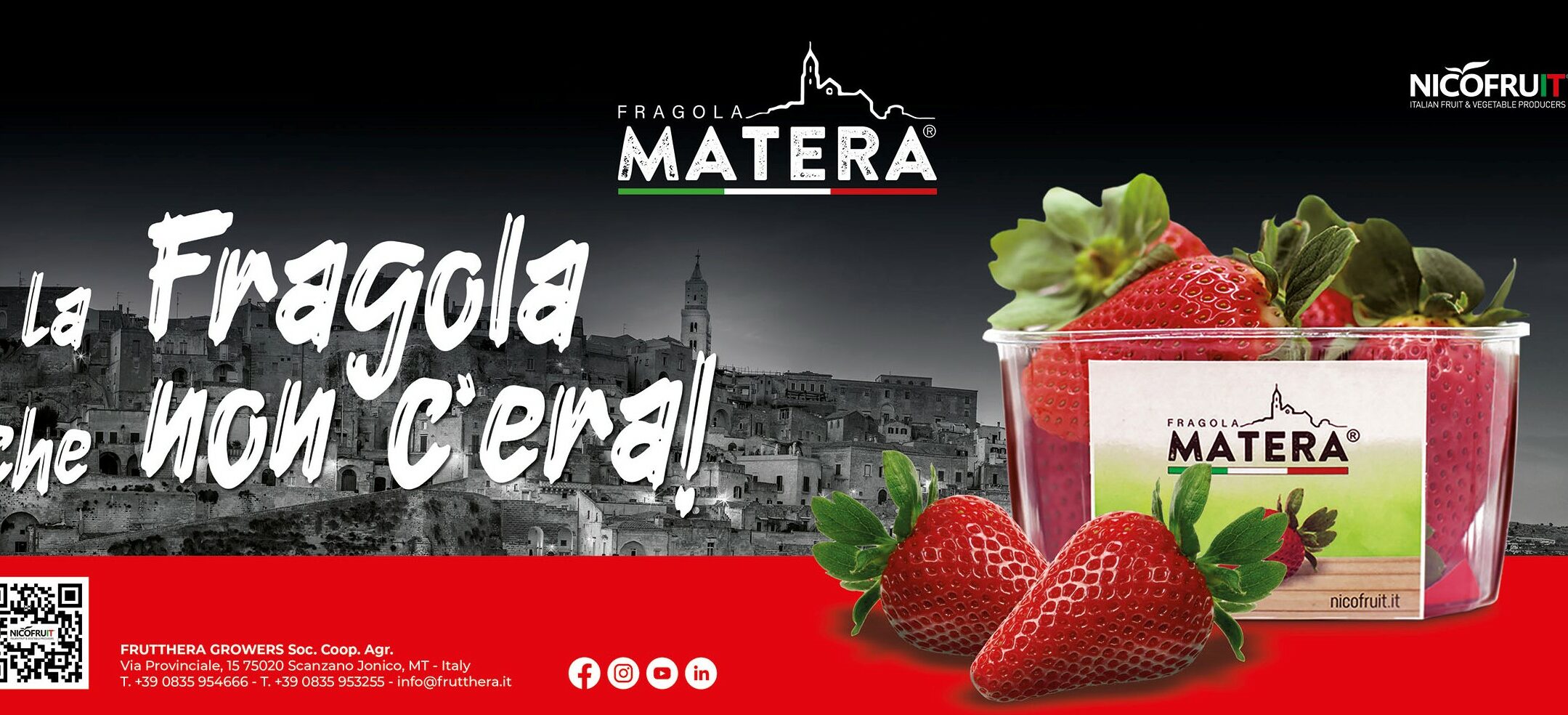 Il marchio “Fragola Matera®” un anno dopo, conferenza stampa della OP Frutthera Growers Società Cooperativa Agricola