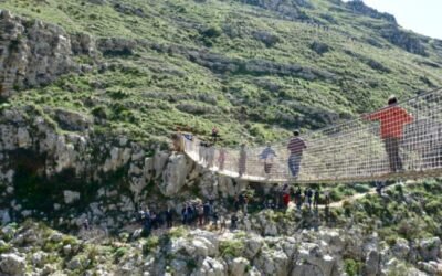 Cicogna nera, l’Ente Parco della Murgia Materana sostiene il progetto di monitoraggio satellitare