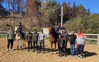Equitazione: a Matera gli stage di dressage con il Campione Nazionale Andrea Giovannini