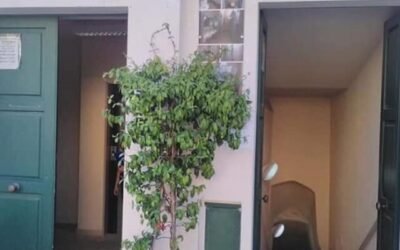 L’amministrazione comunale di Matera dispone l’apertura straordinaria dei bagni pubblici: a partire dal 2 giugno più servizi e migliore accoglienza