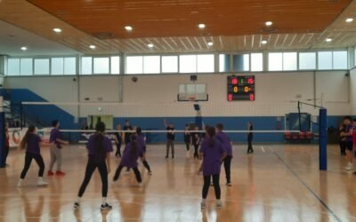 Concluso il torneo di Changeball della secondaria Nicola Festa di Matera