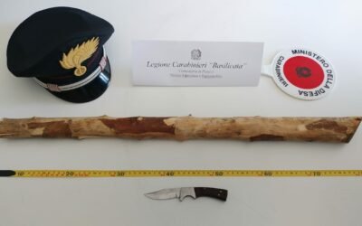 Rissa a Bernalda, otto persone denunciate dai Carabinieri