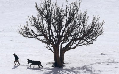 “Malbianco”, tra echi e citazioni letterarie il nuovo libro del Premio Strega 2022 Mario Desiati