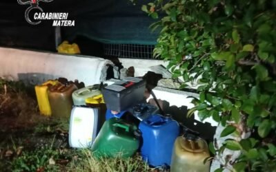 Metaponto, furti in aziende. Due persone arrestate dai Carabinieri della Compagnia di Pisticci