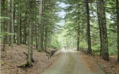 La Basilicata seconda al Green Road Award, Oscar del Cicloturismo