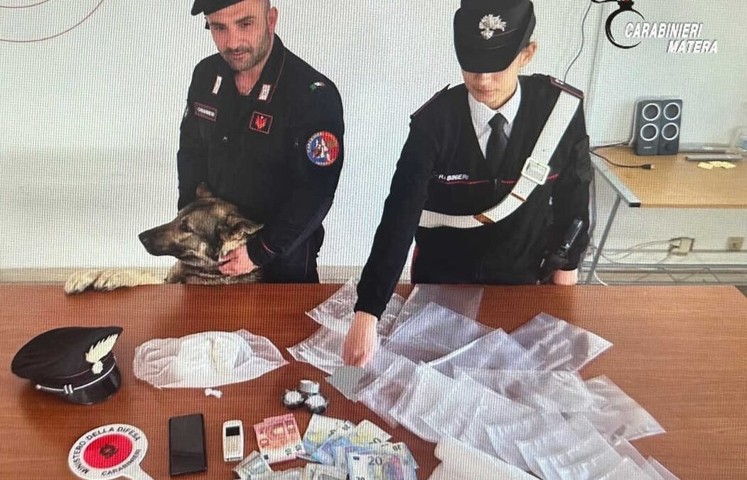 Presunto spacciatore con circa 450 grammi di cocaina arrestato dai Carabinieri a Scanzano Jonico con l’ausilio del cane antidroga Chase