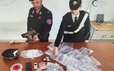 Presunto spacciatore con circa 450 grammi di cocaina arrestato dai Carabinieri a Scanzano Jonico con l’ausilio del cane antidroga Chase