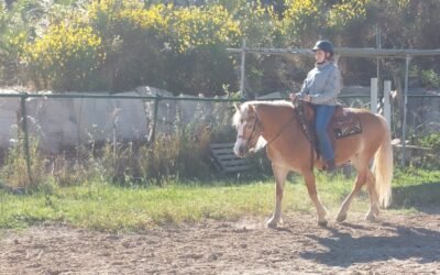 Il 7 giugno all’Eledorado Ranch (Associazione Sportiva Dilettantistica Equestre di Matera) gli esami del corso di avviamento all’equitazione western