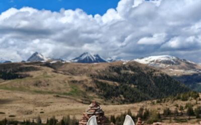 Trekking con gli Haflinger lì dove sono nati: dal 13 al 15 giugno 2025 il 1° Raduno della Sezione Alto Adige di Natura a Cavallo è un assaggio dell’anno che verrà