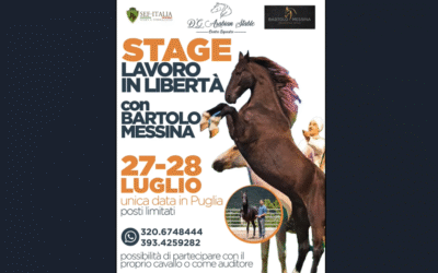 Il 27 e 28 luglio stage con Bartolo Messina al DG Arabian Stable di Gioia del Colle