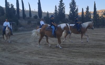 L’Eledorado Ranch Asde Haflinger Horses di Matera ad Agrilevante dal 9 al 12 ottobre insieme a una rappresentanza di atleti e cavalli per dimostrazioni attitudinali a sella e attacchi