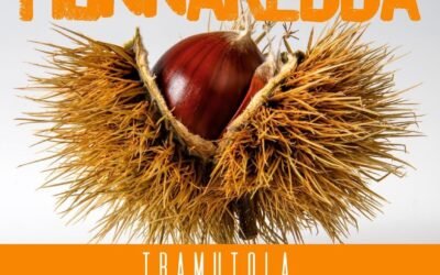 Tramutola celebra la sua regina d’autunno: in arrivo la XIV edizione della “Sagra della Castagna Munnaredda”