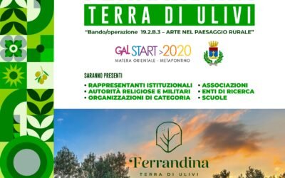 Ferrandina, terra degli ulivi: nasce il Centro Paesaggio Storico dell’Olivo