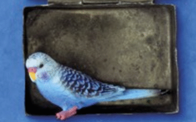 “Tanta ancora Vita”, è un piccolo capolavoro di poesia a tre voci il nuovo romanzo di Viola Ardone