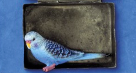 “Tanta ancora Vita”, è un piccolo capolavoro di poesia a tre voci il nuovo romanzo di Viola Ardone