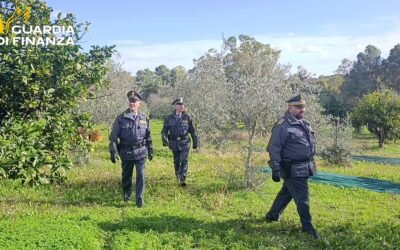Matera, denunciati dalla Guardia di Finanza 30 titolari di aziende agricole per omesso versamento di ritenute per oltre 2,16 milioni di euro