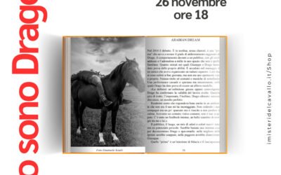 Mercoledì 26 novembre a Gioia del Colle presentazione del libro “Io sono Drago. Giuseppe Colapinto: the Arabian Dream” della giornalista e scrittrice Rossella Montemurro