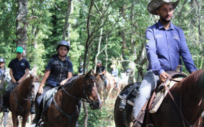Anna Maria Gallo: “Il mondo equestre come motore di itinerari turistici, valore sociale e ritorno alla realtà”