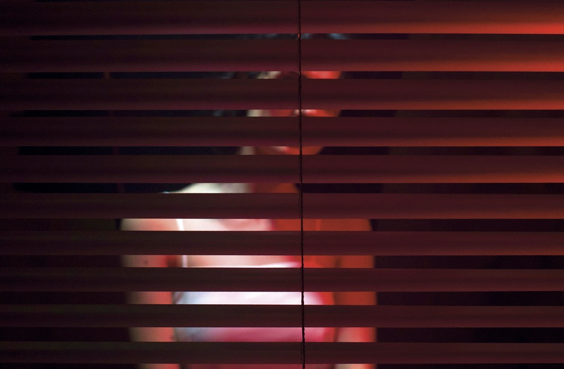 “Un animale innocente”: Letizia Pezzali travolge il lettore con una tempesta emotiva