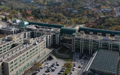 Assegnato il Premio Giorgio Squinzi 2025 di Federchimica alla tesi di laurea in Scienze Chimiche dell’Università degli Studi della Basilicata della dott.ssa Veronica Pasquariello