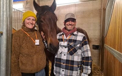 Matera: taglio del nastro per “Terre Lucane – Equitazione e Natura”, una nuova realtà sportiva e educativa