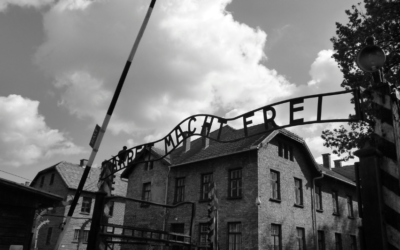 Giornata della Memoria: interventi del presidente Bardi, del sindaco Nicoletti e dell’Amministrazione Comunale di Matera