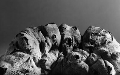 Direzione Regionale Musei nazionali della Basilicata: inaugurazione della mostra ”Le dee del grano” al Museo di Tricarico