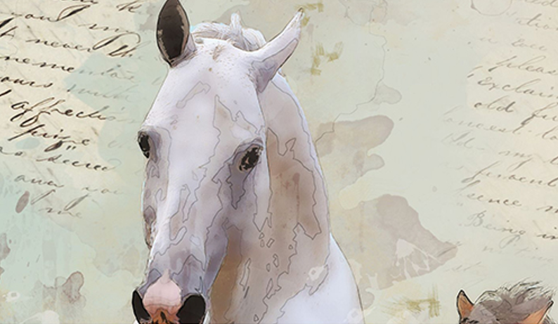 “Manuale d’equitazione per un’amata” di Rudolf G. Binding: tradotto da Nina Cihak per Zoraide il saggio poetico utilizzato nella scuola di vita ed equitazione di Daria Fantoni