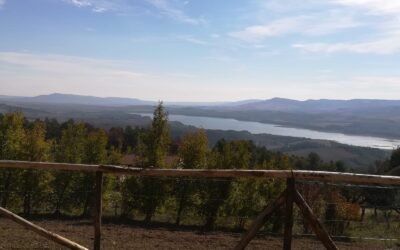 Colle Timmari, piena attenzione dell’Amministrazione comunale di Matera e del Governo: stanziati 100 mila euro per l’avvio di un percorso di riqualificazione