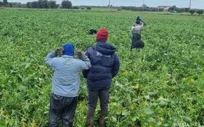 Legalità: motore di crescita per l’agricoltura lucana