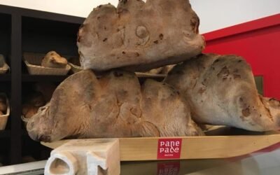CNA Matera e Pane e Pace brillano a Milano all’evento “Basilicata Today”