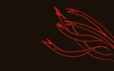 “Il custode”: adolescenza e realismo magico nel nuovo romanzo di Niccolò Ammaniti