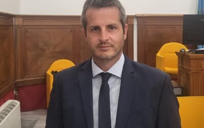 Abbattimento albero in via Annibale Maria di Francia a Matera: chiarimenti, sicurezza pubblica e tutela della fauna