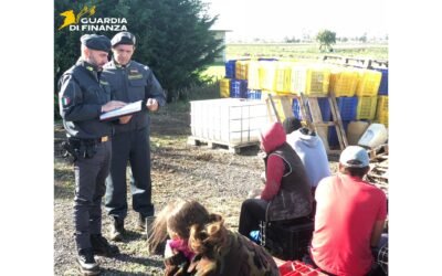 Immigrazione irregolare, operazione della Guardia di Finanza di Matera: undici arresti