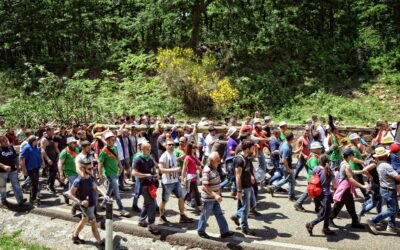 Domenica 12 aprile la scelta del Maggio di Accettura presso il Bosco di Montepiano