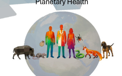 Zoonosi e approccio One Health: all’ASM di Matera un corso ECM per i medici veterinari