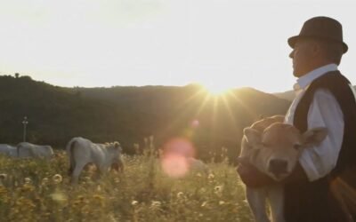Premio a “Basilicata, intrecci di futuro”