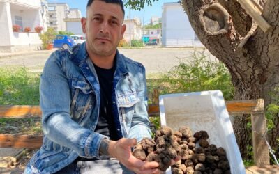 L’amore per i tartufi e tanta intraprendenza: da Scanzano Jonico la storia di Antonio