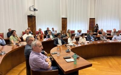 Callmat, il sindaco Nicoletti al MIMIT: “Massimo impegno per tutelare i 350 lavoratori”