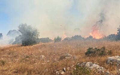 I periti agrari materani intervengono sull’incendio nel Parco della Murgia