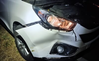 Cinghiali in carreggiata e incidenti a catena nel Materano. Carabinieri in prima linea a tutela degli automobilisti