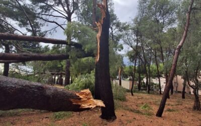 Tromba d’aria a Policoro, danni lievi all’ospedale ma tutti i servizi sanitari restano pienamente attivi
