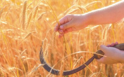 “Dal deserto al giardino”, a Metaponto Lido l’evento diocesano per la Giornata Mondiale di Preghiera per la Cura del Creato 2026
