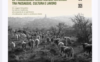 Matera, il 18 nello Studio Arti Visive inaugurazione della mostra fotografica di Pietro L’Annunziata “Il tempo della sosta. La transumanza nella Murgia Materana tra paesaggio, cultura e lavoro”