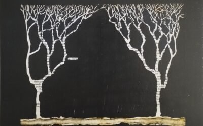 L’artista materano Franco Di Pede ricorda l’amico Ruggero Maggi nella mostra internazionale Mail Art in Action / For Ruggero Maggi