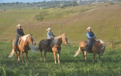 Passeggiate ed escursioni con gli Haflinger dell’Eledorado Ranch: un mondo a parte a pochi chilometri da Matera