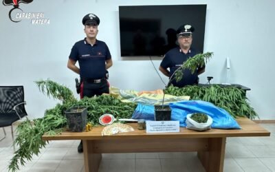 Scoperta a Tricarico coltivazione di marijuana, 42enne arrestato dai Carabinieri