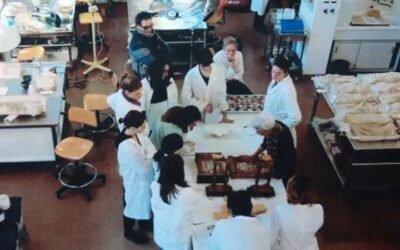 Conferenza dell’Istituto Centrale per il Restauro “La cooperazione internazionale attraverso il restauro”, il sindaco Nicoletti: “Un onore per Matera”