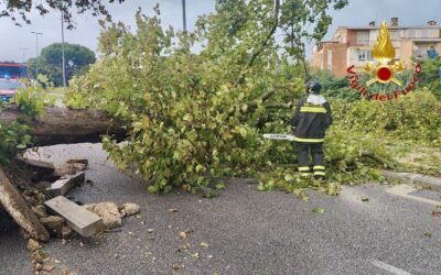 Ondata di maltempo nella provincia di Matera, 16 interventi dei Vigili del Fuoco tra la mattinata e il primo pomeriggio