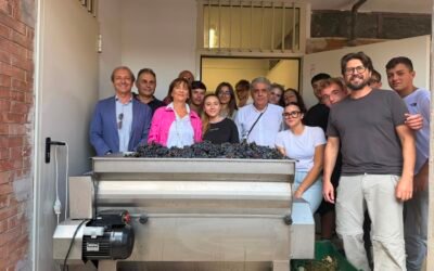 Studenti in campo per la vendemmia all’Itas di Matera. Il Collegio dei Periti Agrari ha programmato alcune iniziative da svolgere con l’Istituto